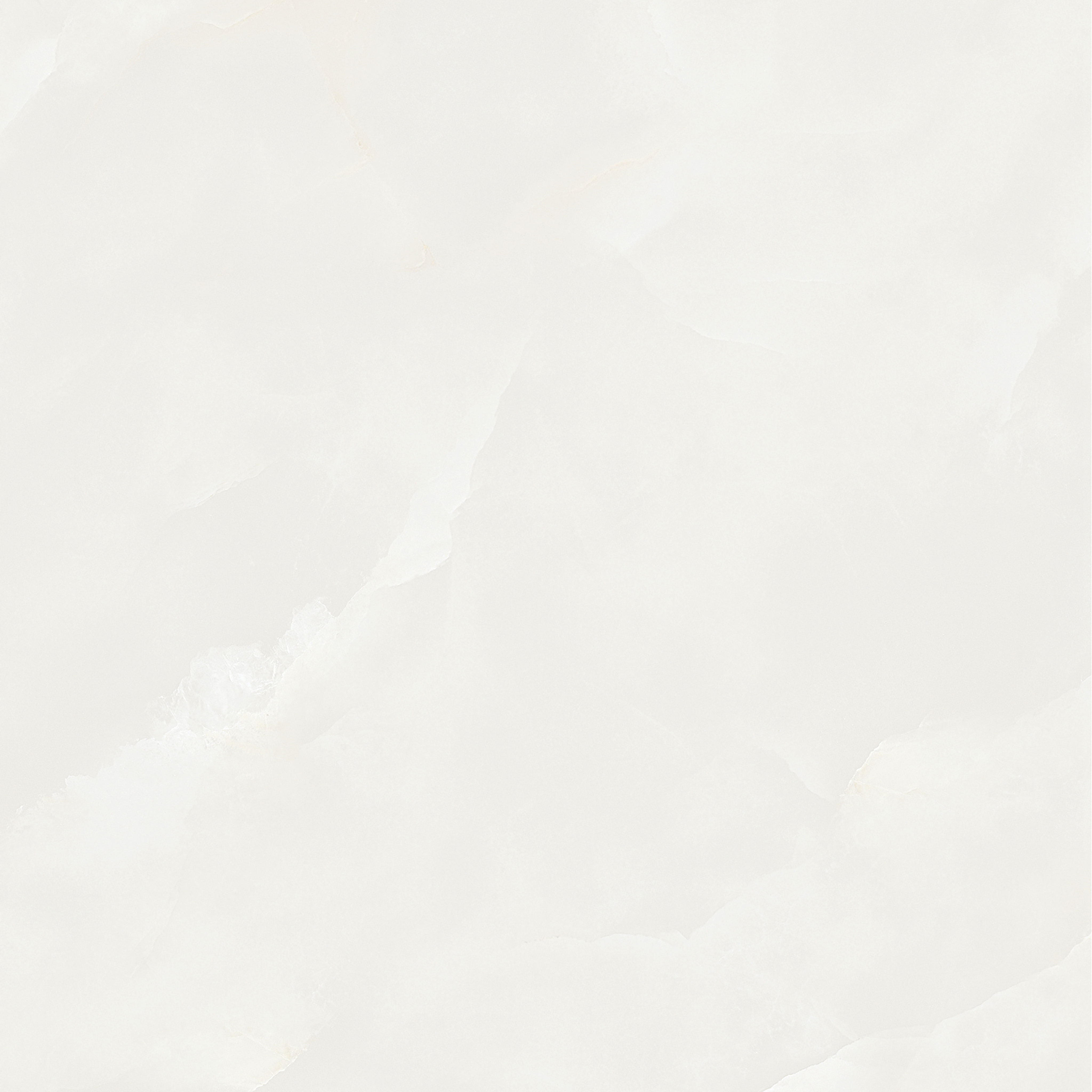 长期公开精准单双