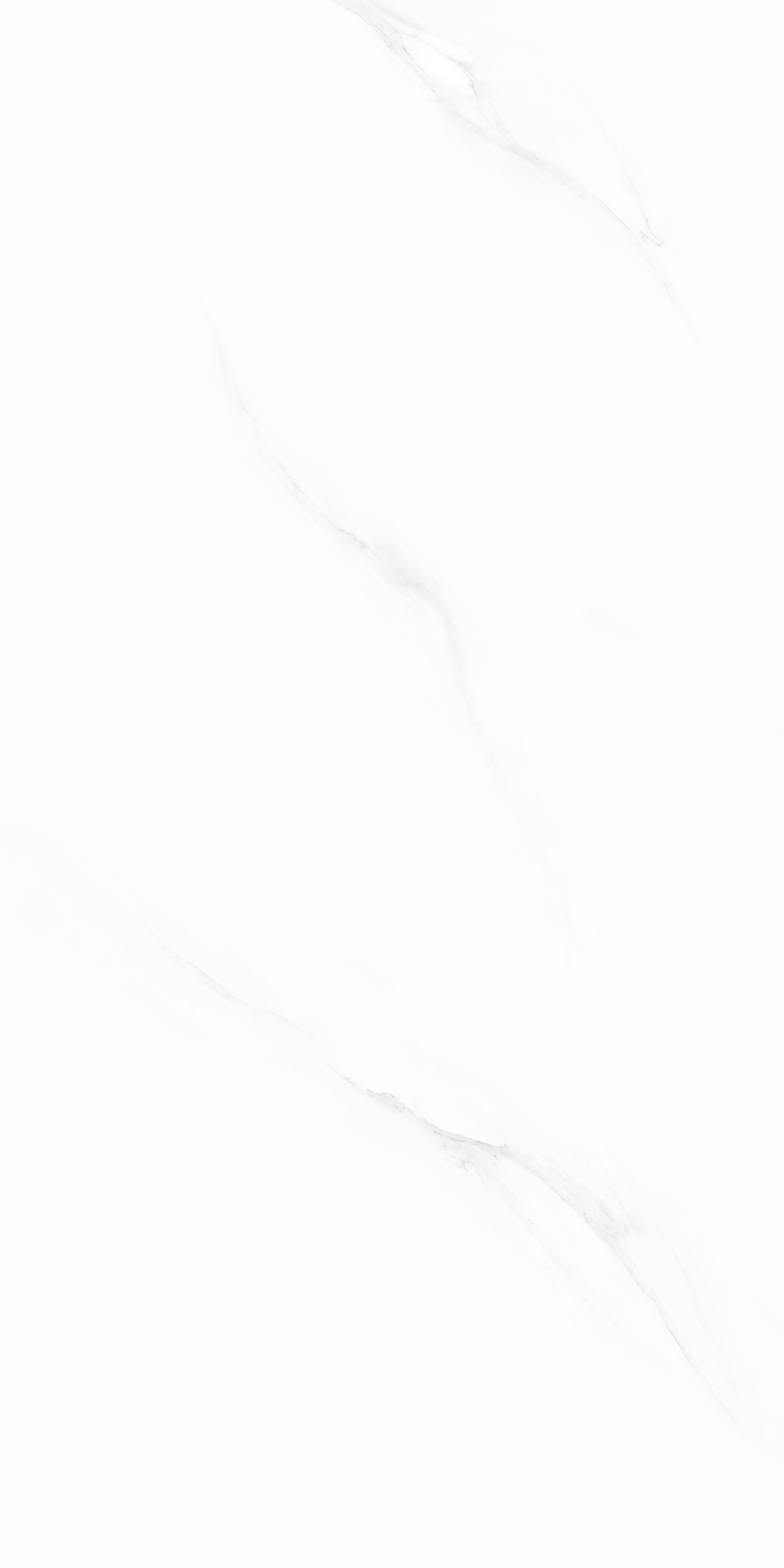 长期公开精准单双