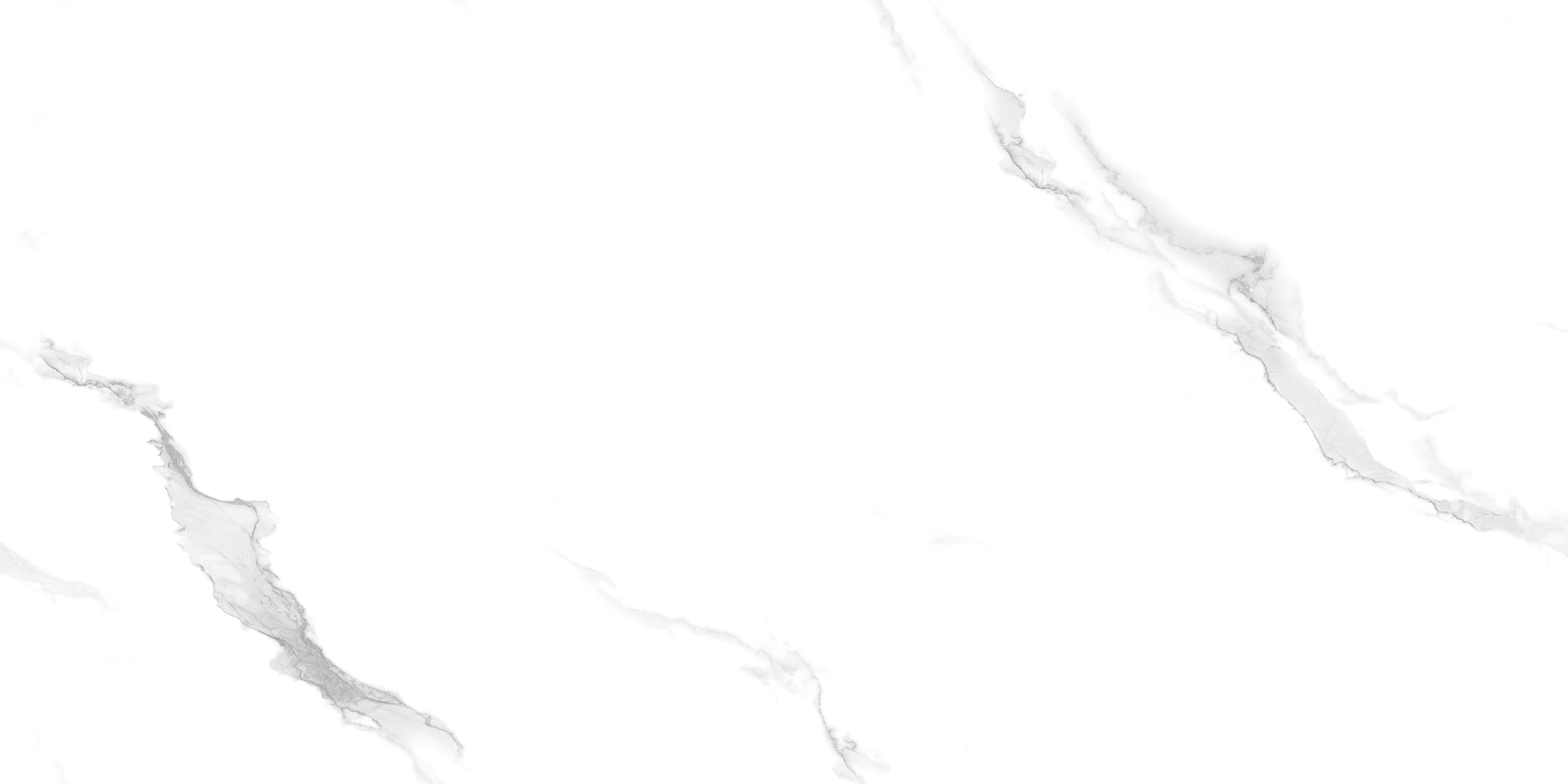 长期公开精准单双