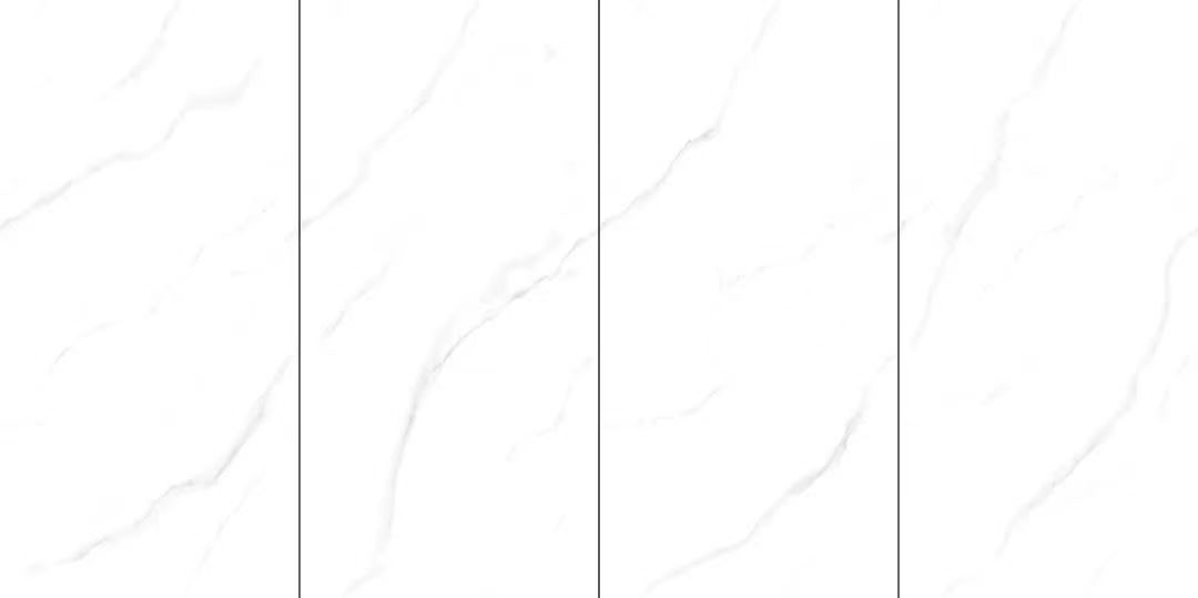 长期公开精准单双